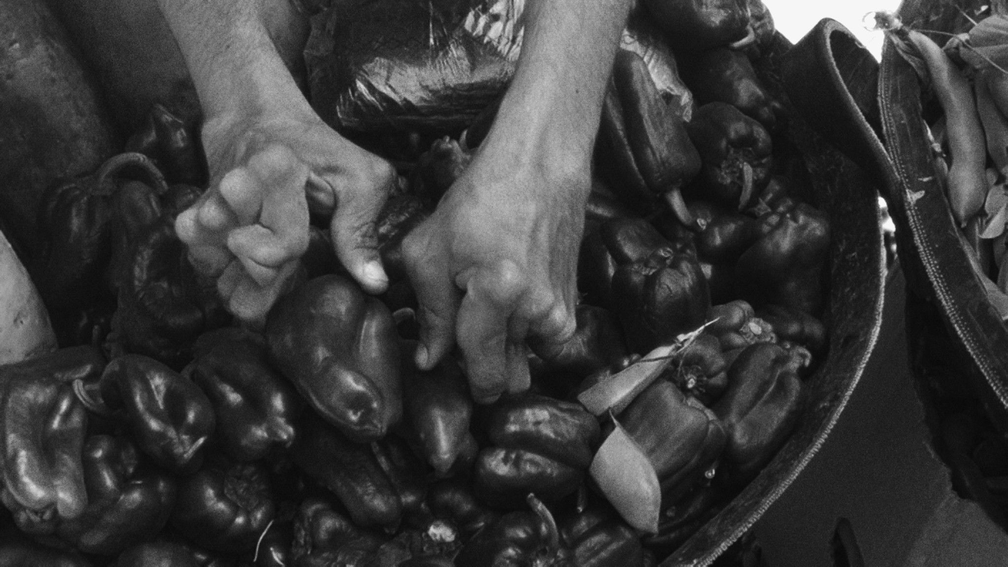 Find One Who Was Not Born Of Woman That One Is Your Father