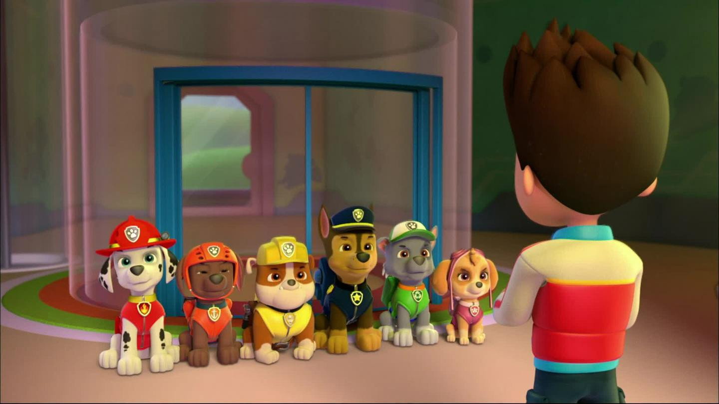 Pups Turn On the Lights