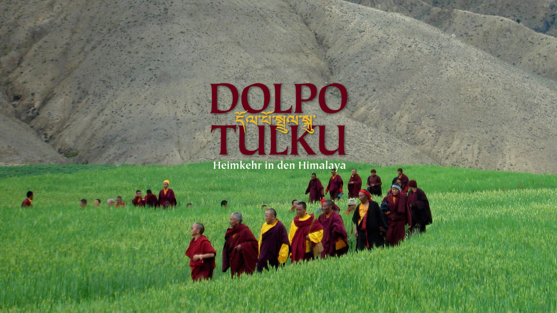 Dolpo Tulku - Heimkehr in den Himalaya (2010)