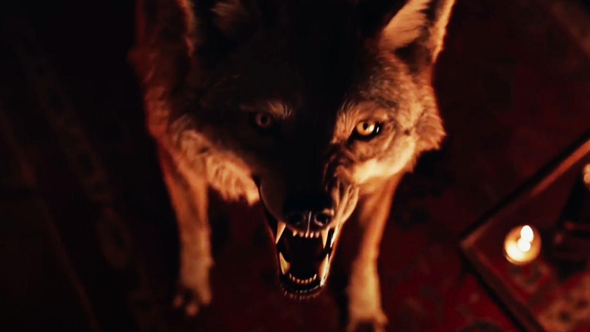 Coyotes (2025)