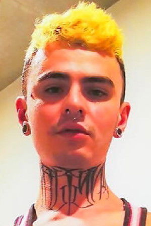 et billede af Pantera Chill