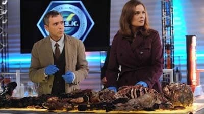 Bones - Die Knochenjägerin Staffel 7 :Folge 12 