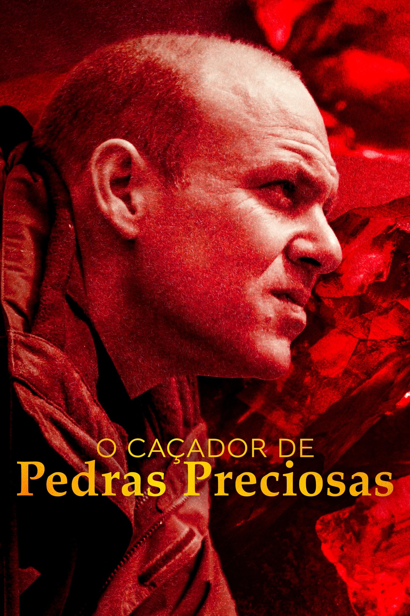 O Caçador de Pedras Preciosas O Caçador de Pedras Preciosas