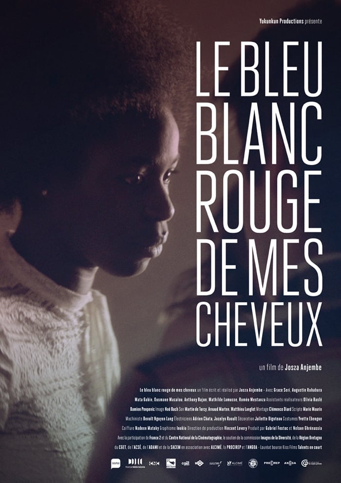 Affiche du film Le Bleu blanc rouge de mes cheveux 26848