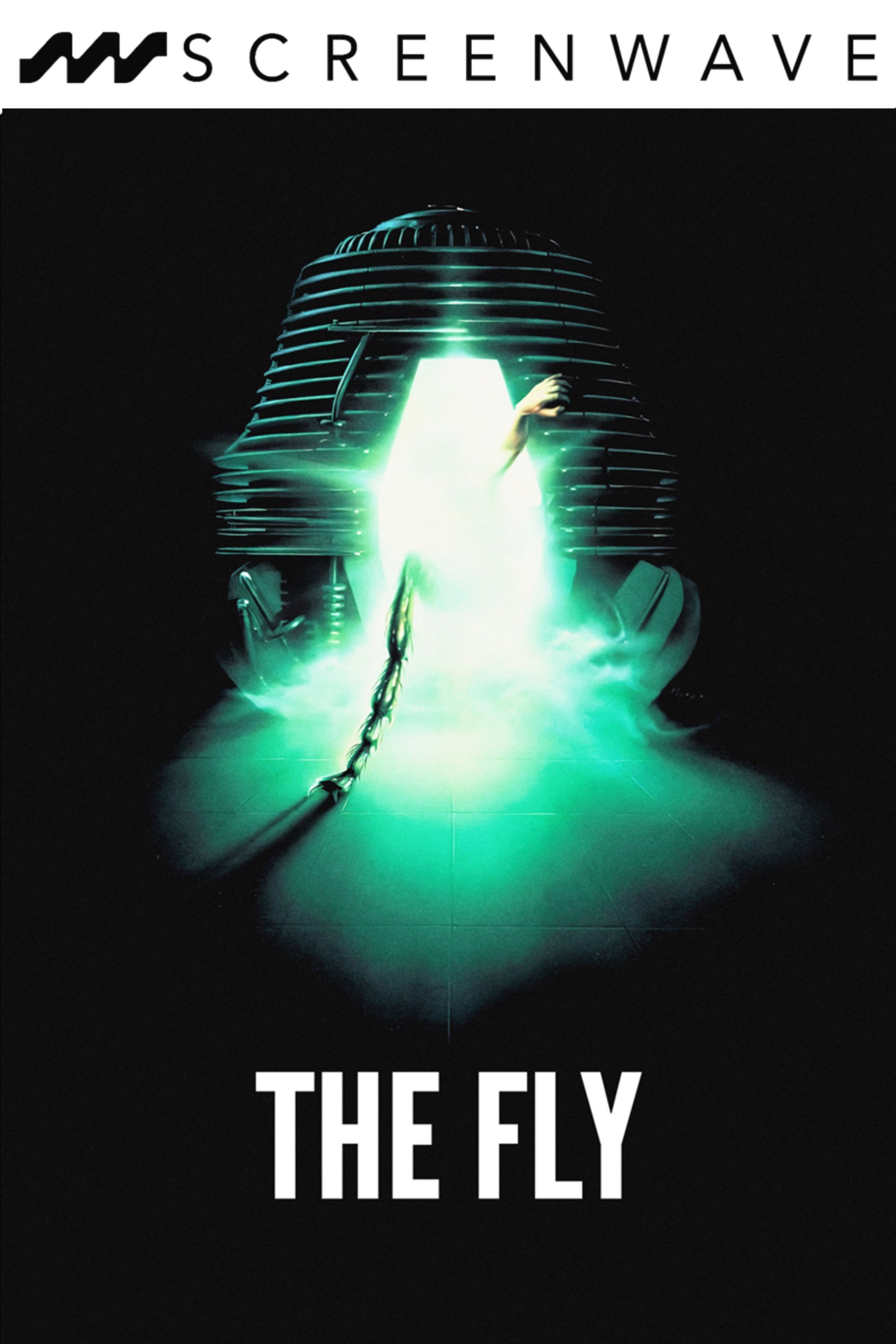 The Fly