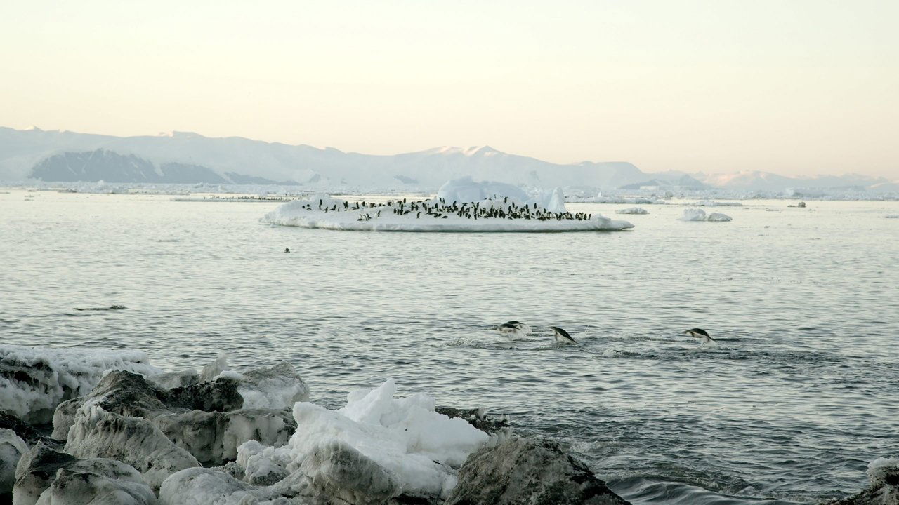 Antarctica: The Frozen Time