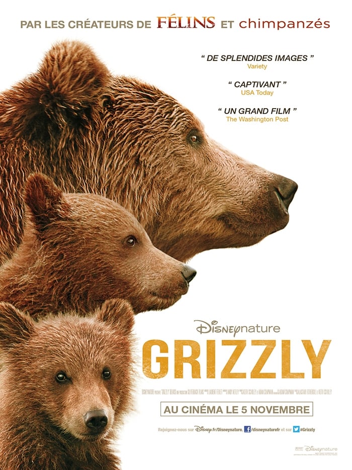 Grizzly streaming