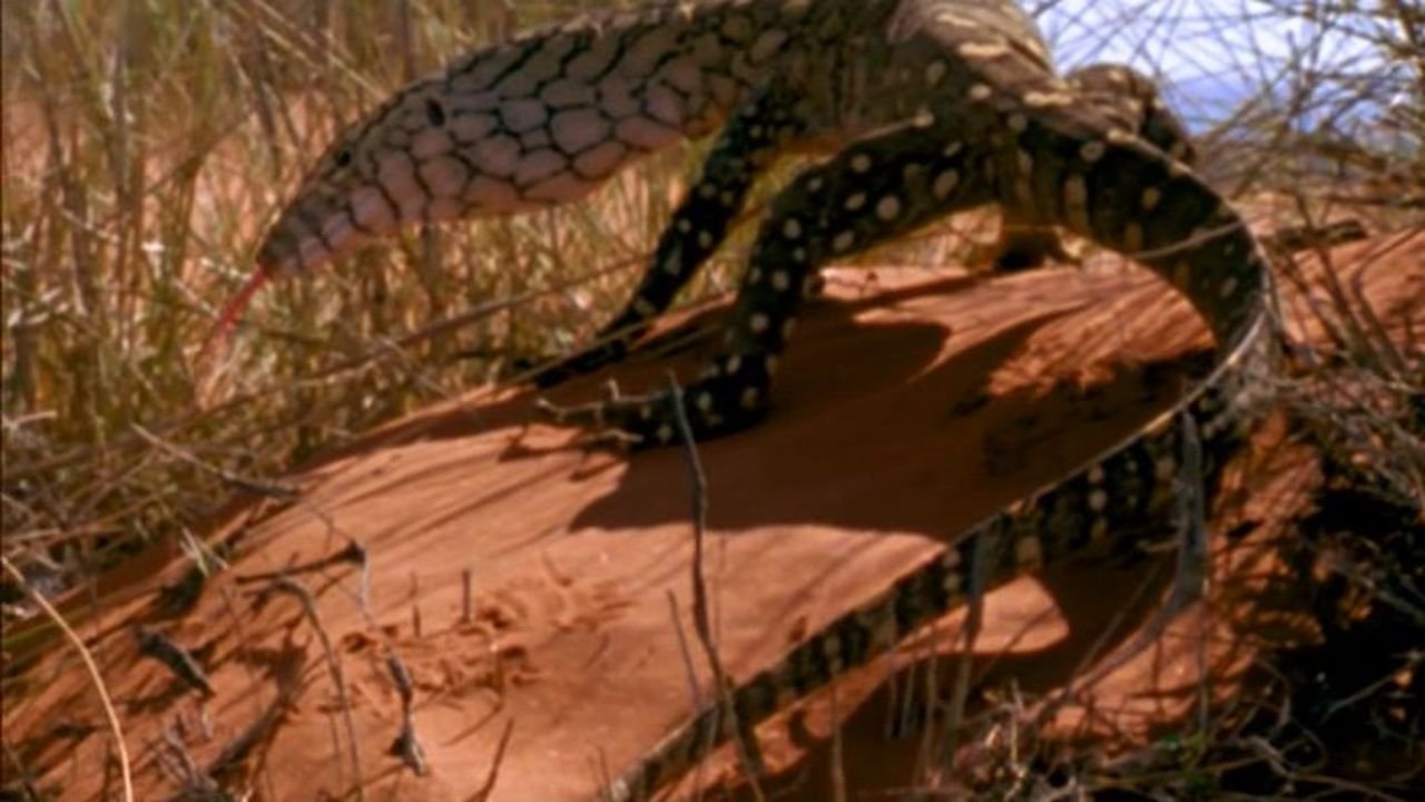 Wonders of Australia's National Parks