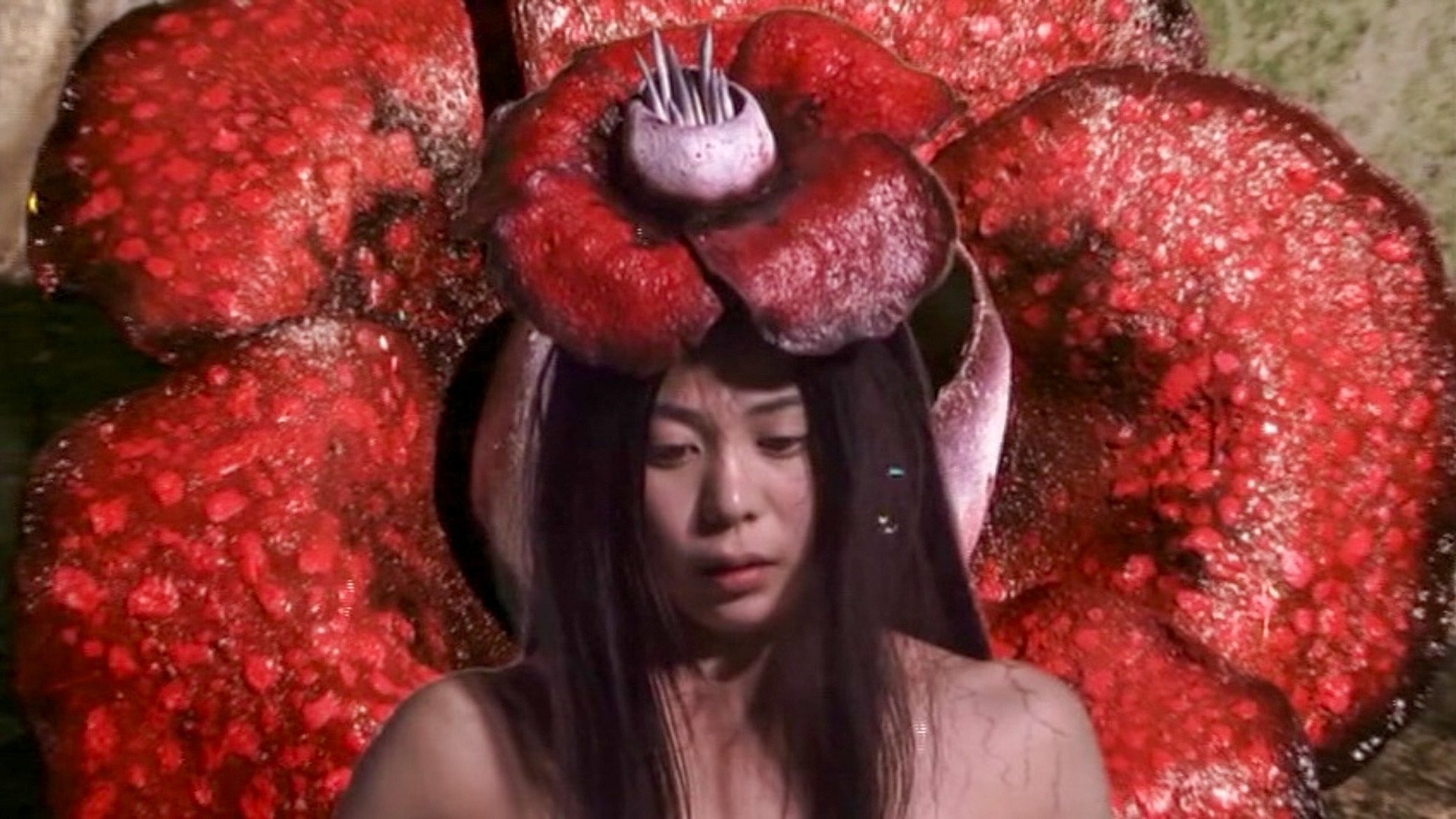 Hana-Dama (2014)