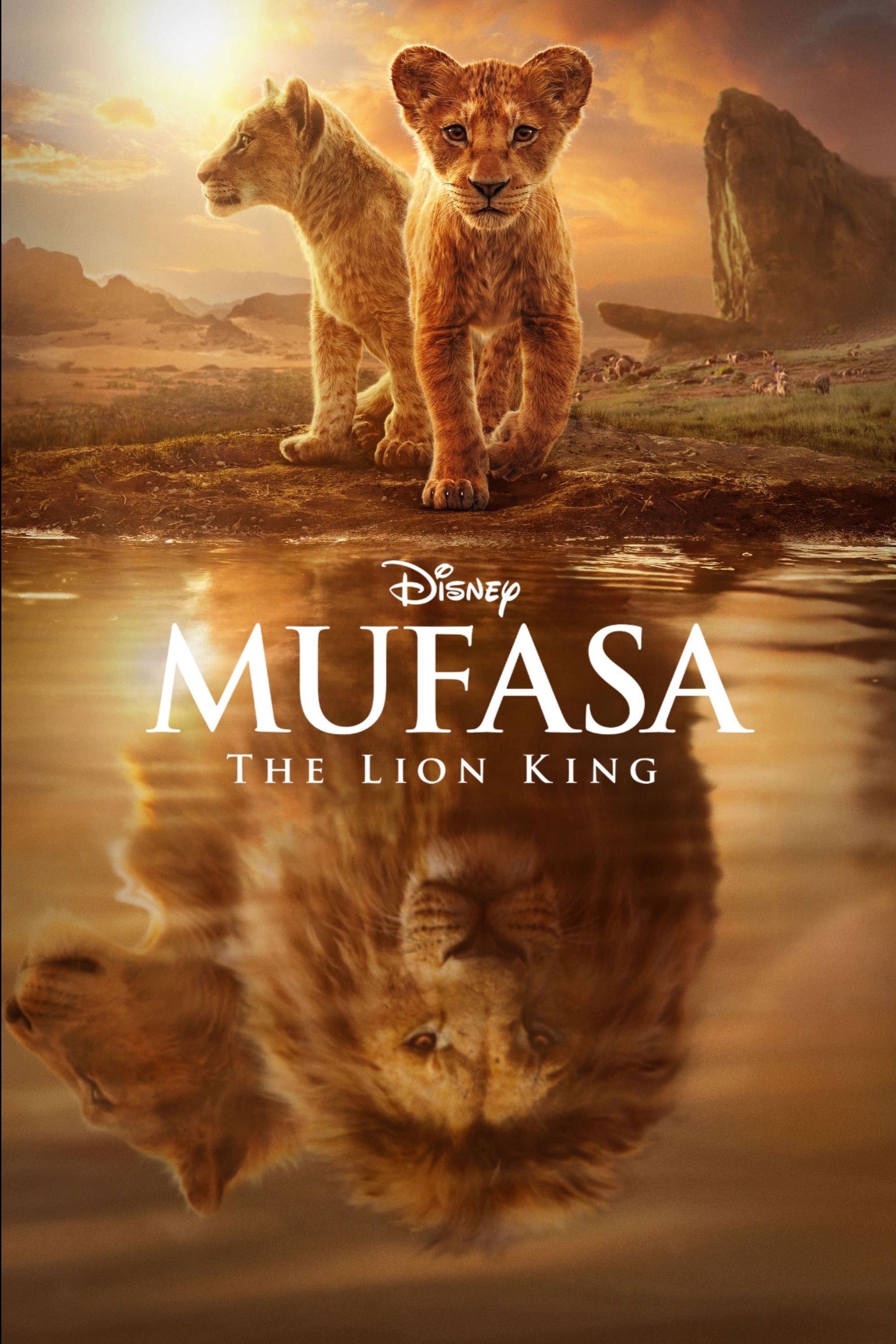 Mufasa The Lion King 2024 Posters The Movie Database TMDB Mufasa The Lion King 2024 Posters The Movie Database TMDB