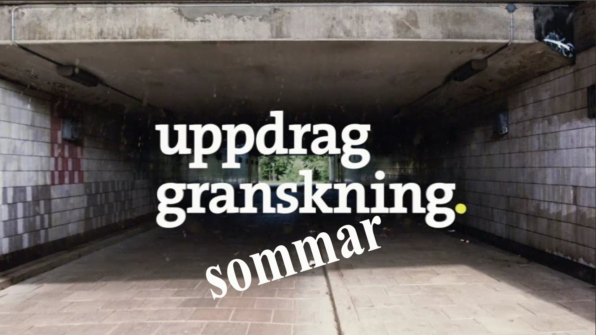 Uppdrag granskning sommar