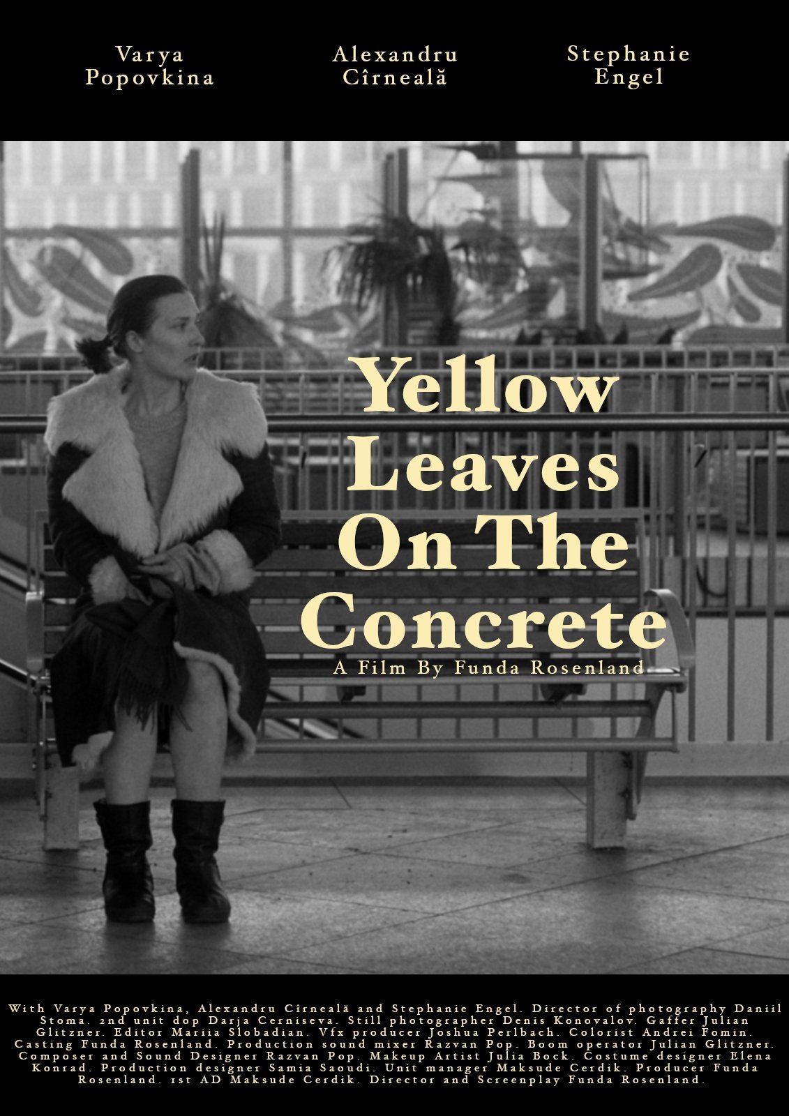 Yellow leaves on the concrete Yellow leaves on the concrete