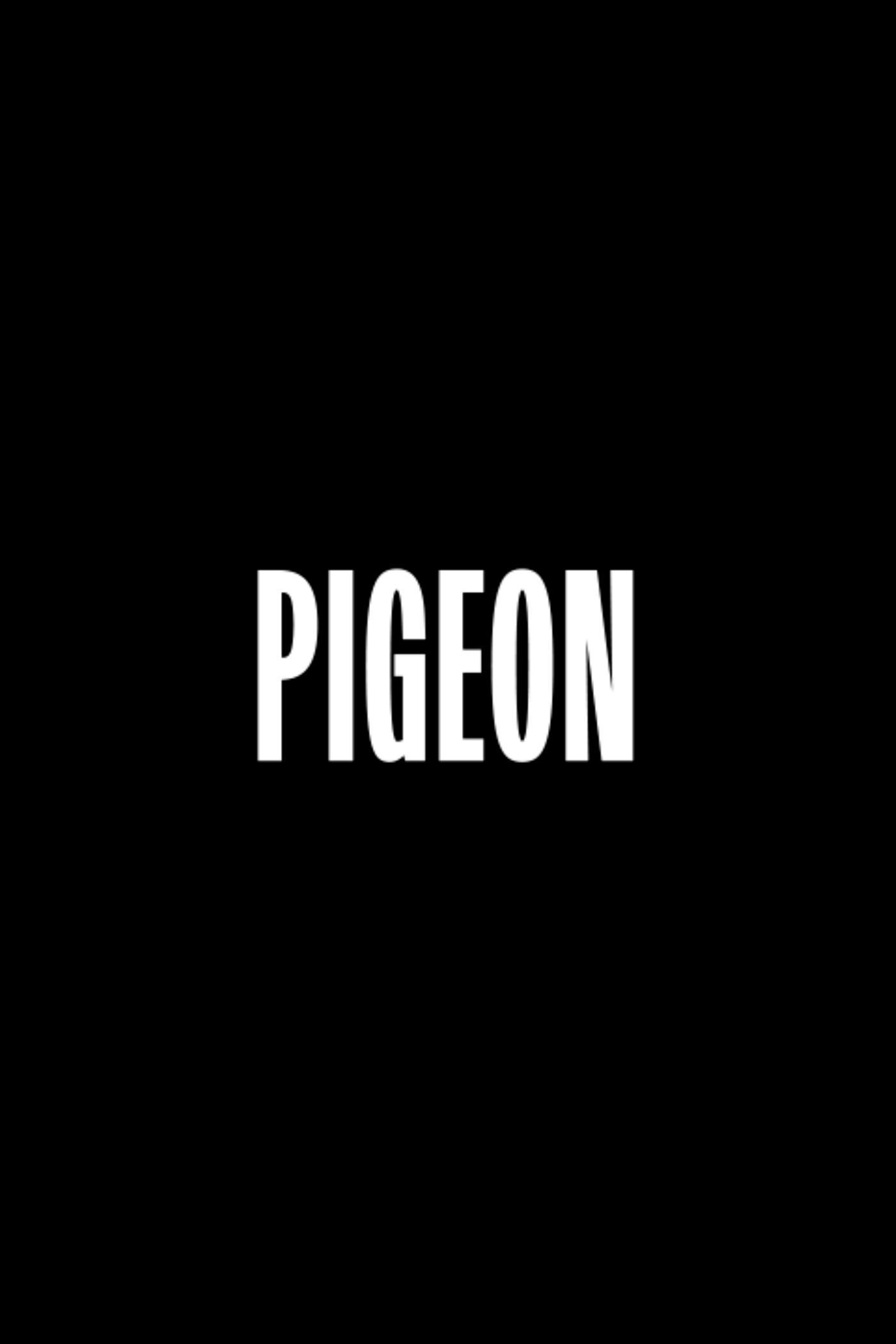 Pigeon