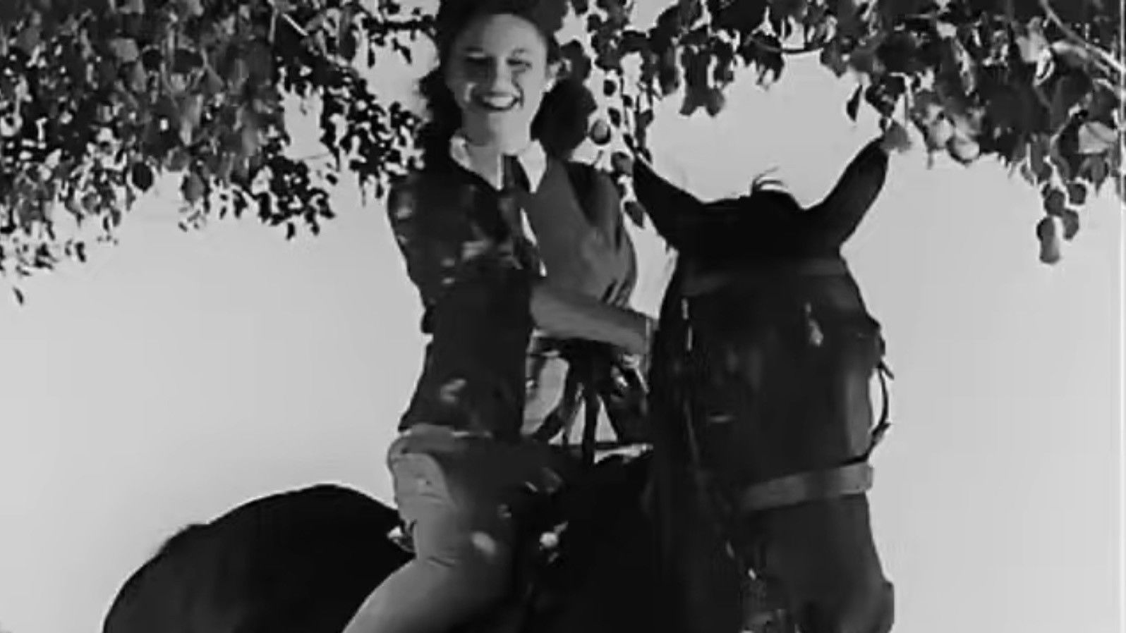 Orphans' money Backdrop background