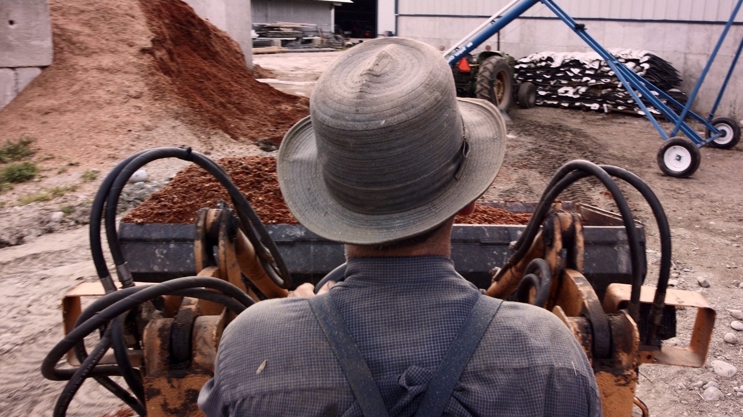 The Southern Wind (2021)
