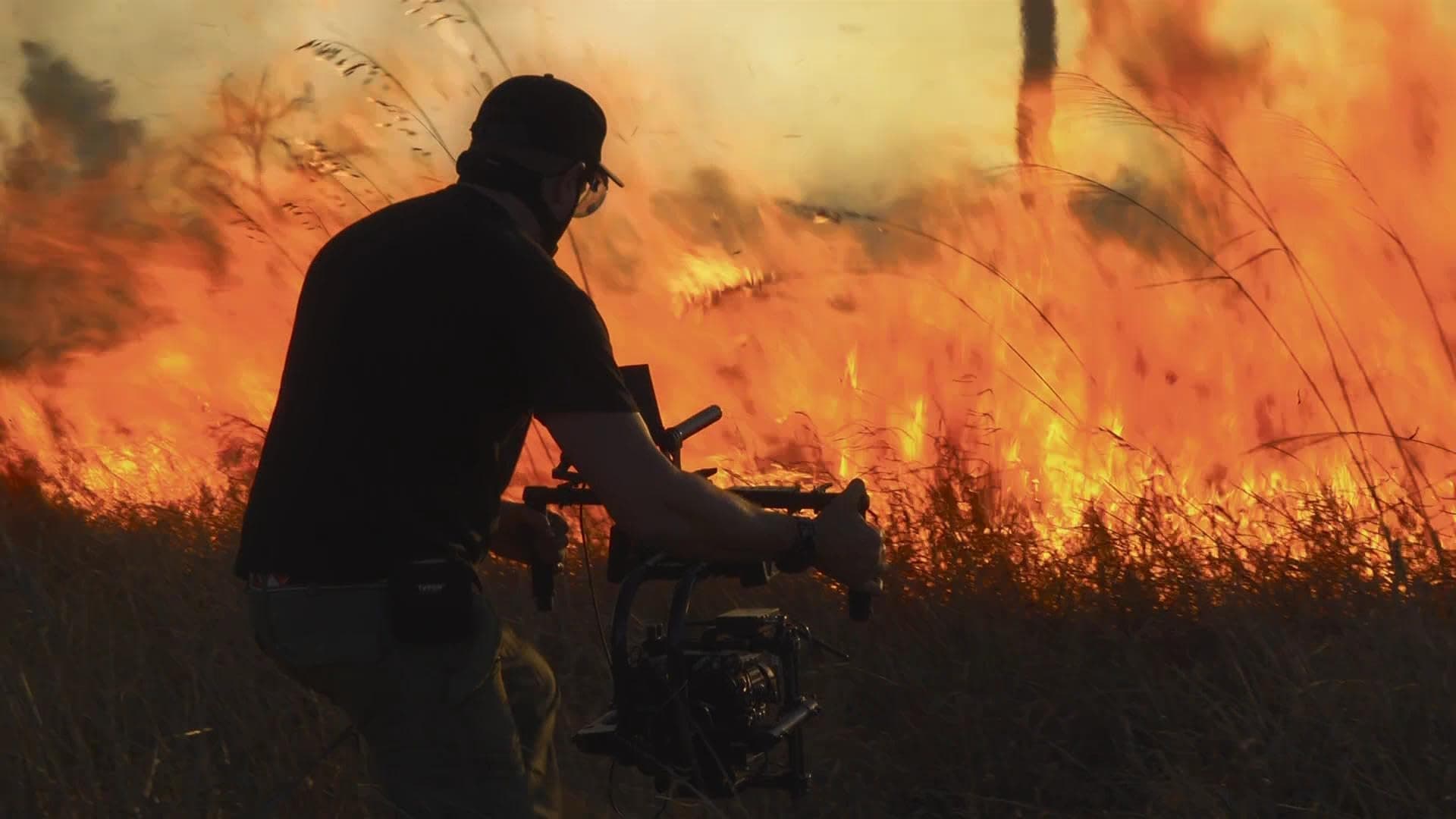 The Making of Planet Earth III