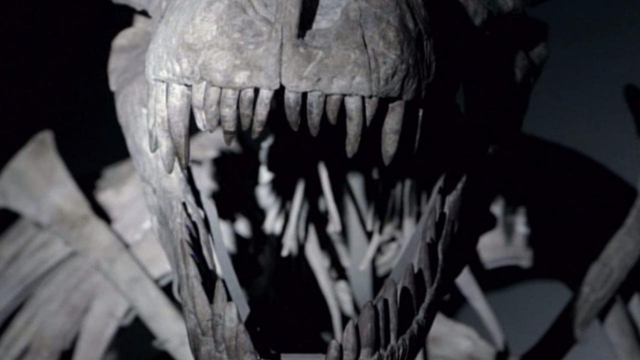 Dinosaurs: The Hunt for Life background
