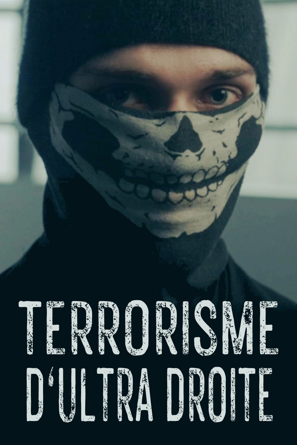 Terrorisme d'ultradroite