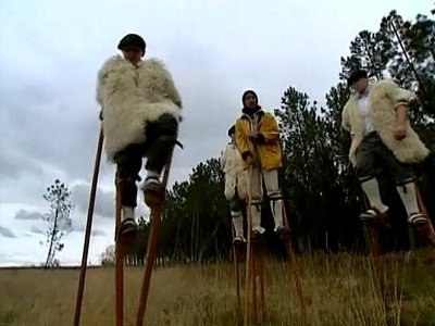 C'est pas sorcier - Les Landes : sous la forêt, la plage
