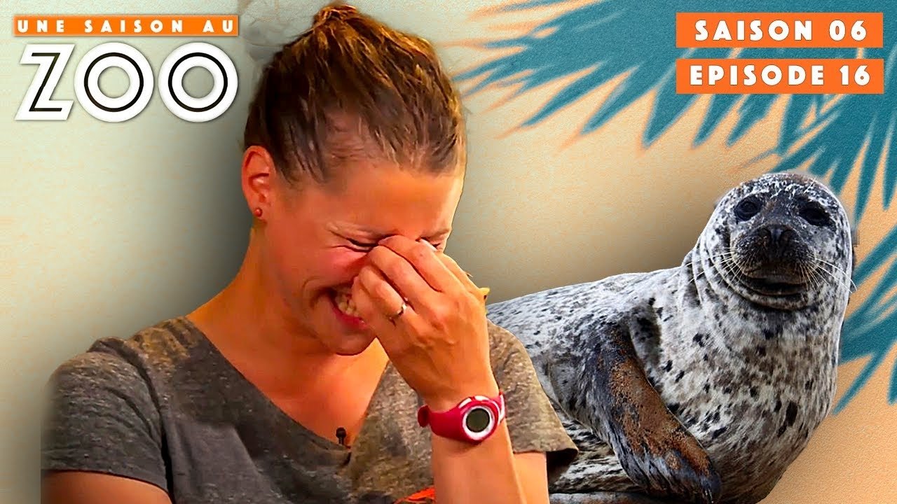 Une saison au zoo - Voyage Hilarant en Bretagne en mer d’Iroise pour l'Équipe !