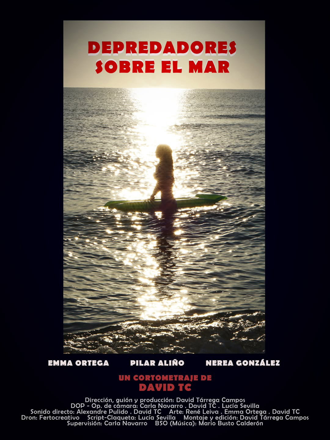 Depredadores sobre el mar