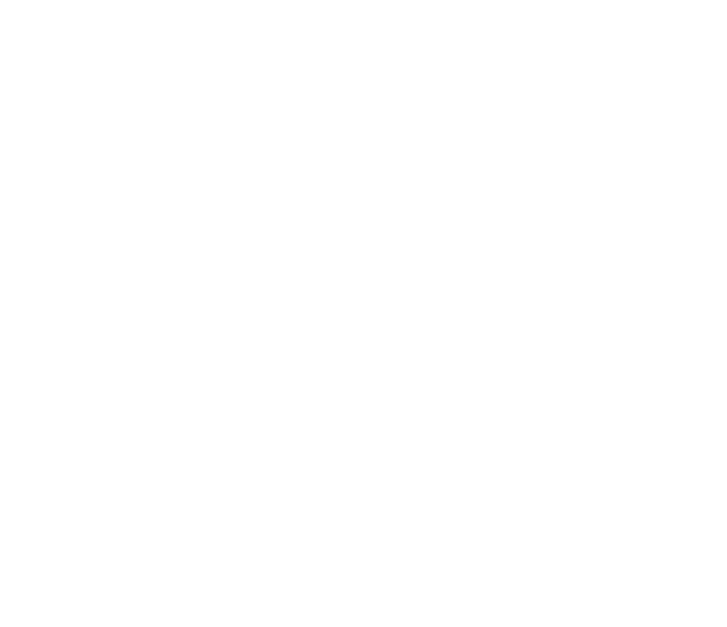Long Bright River Logo