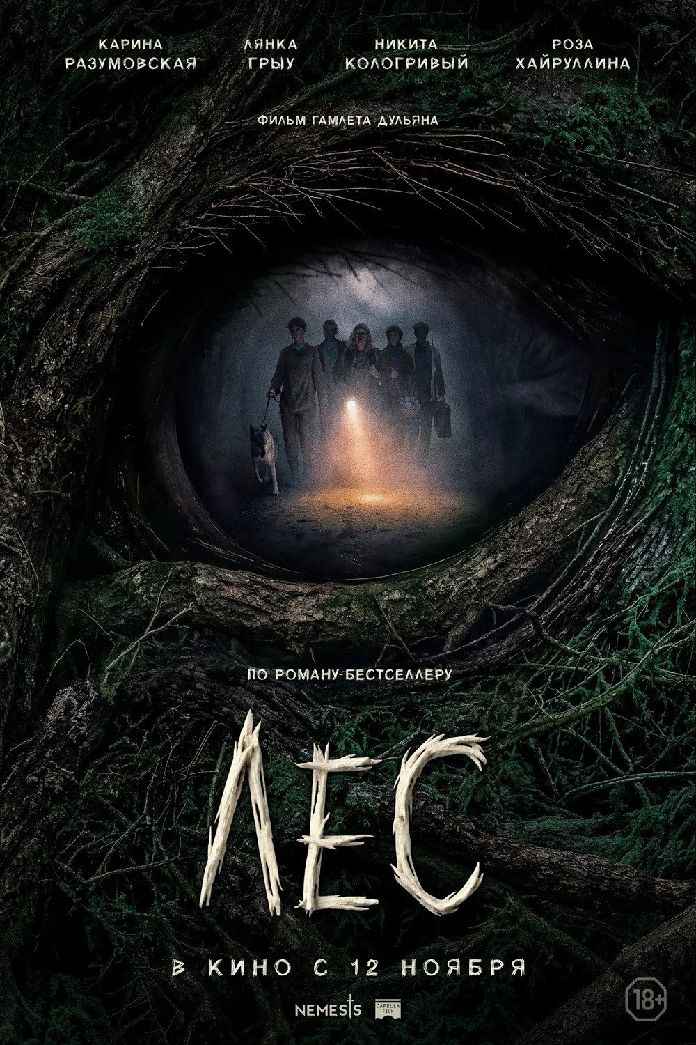Forest
