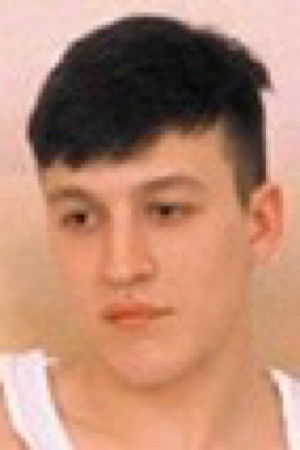 et billede af Vladimir Livinov