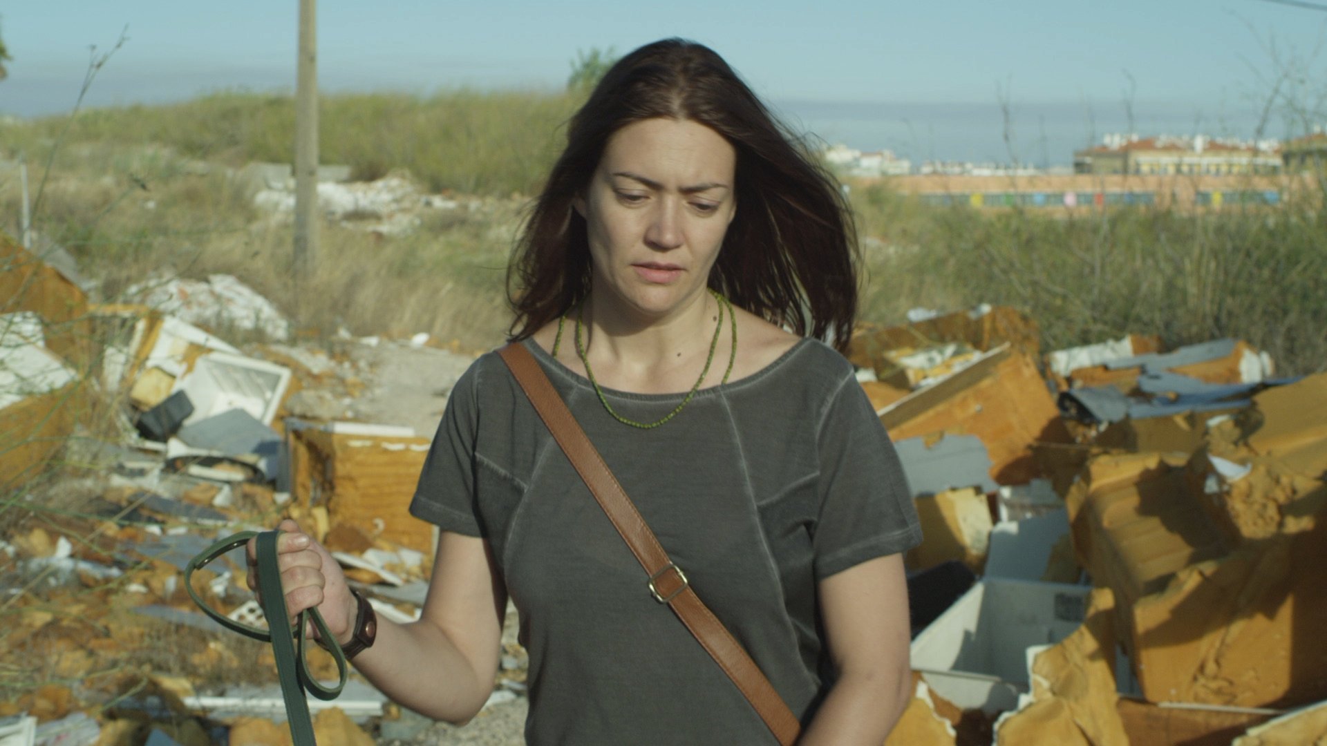 The City and The Sun (2011)