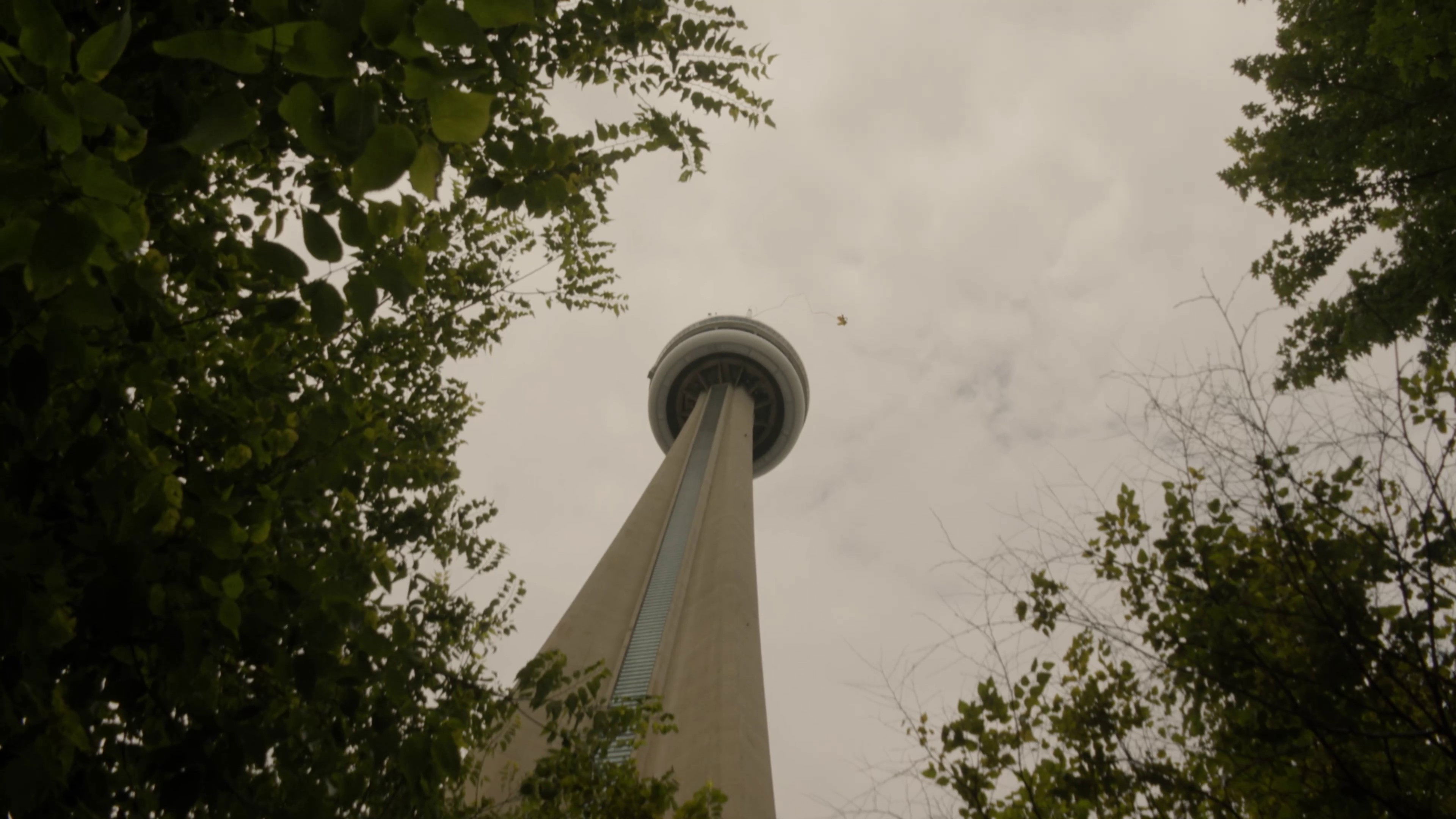 Nirvanna the Band the Show the Movie backdrop