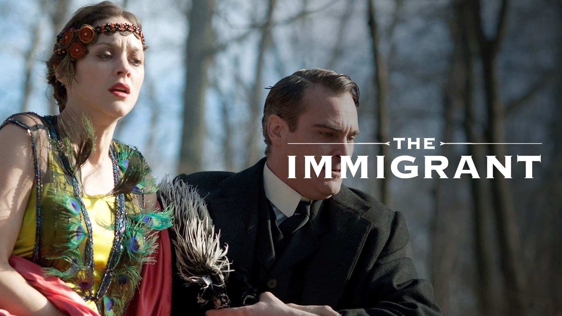 The Immigrant (2013)