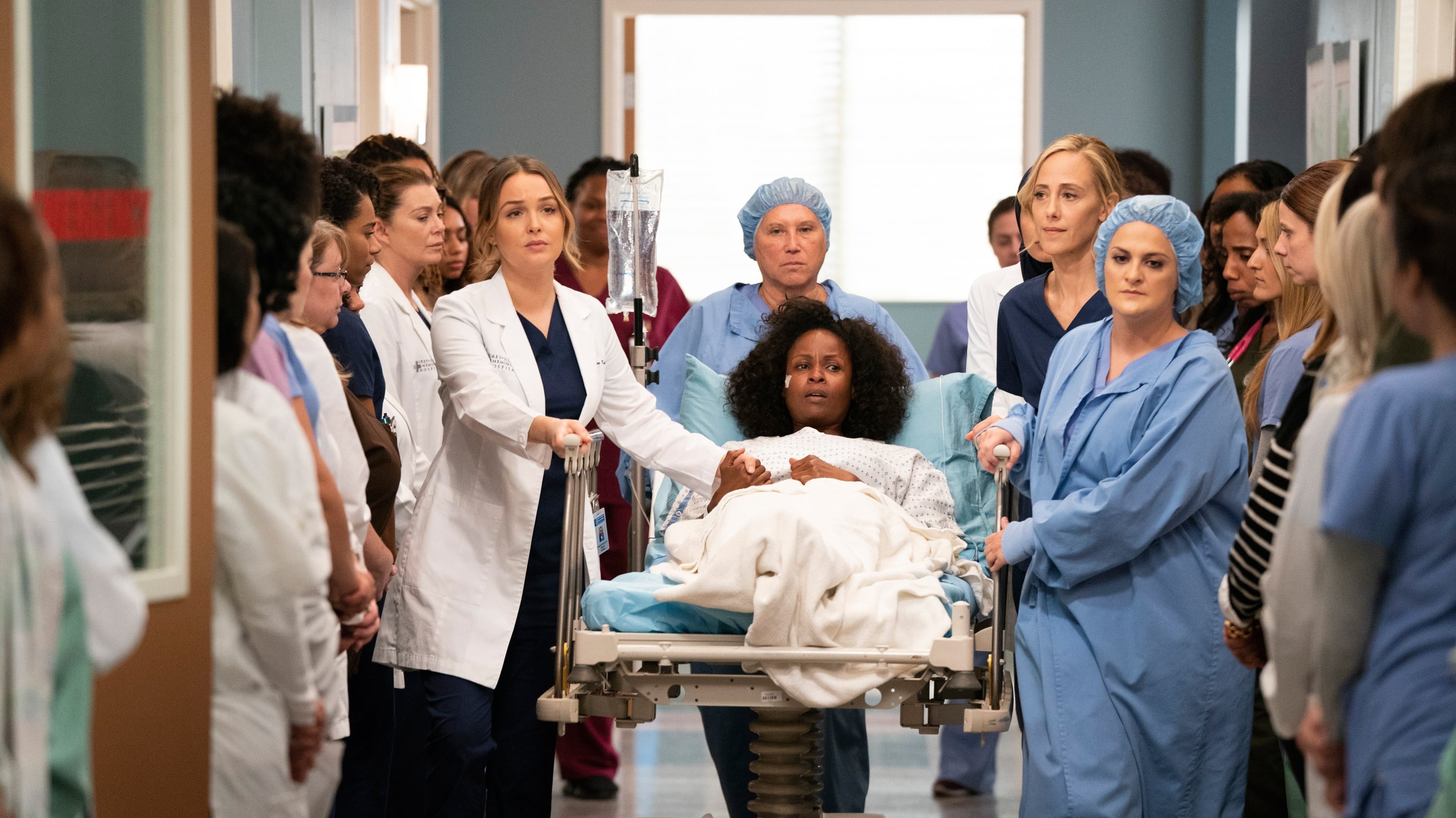 greys anatomy 15 x22