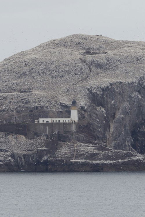 Leading Edge / Trailing Edge Poster