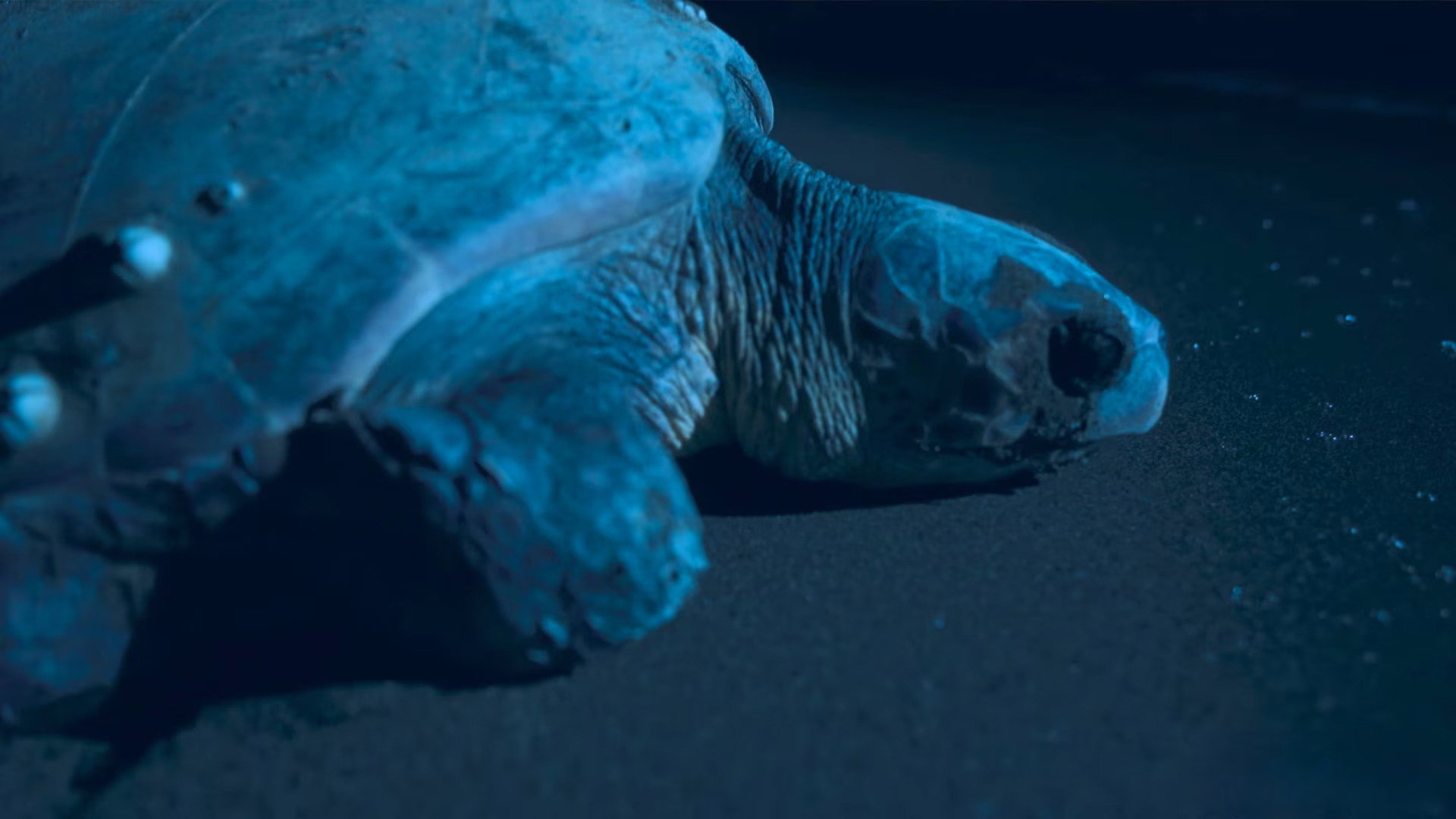 Earth Odyssey with Dylan Dreyer S07E03 backdrop