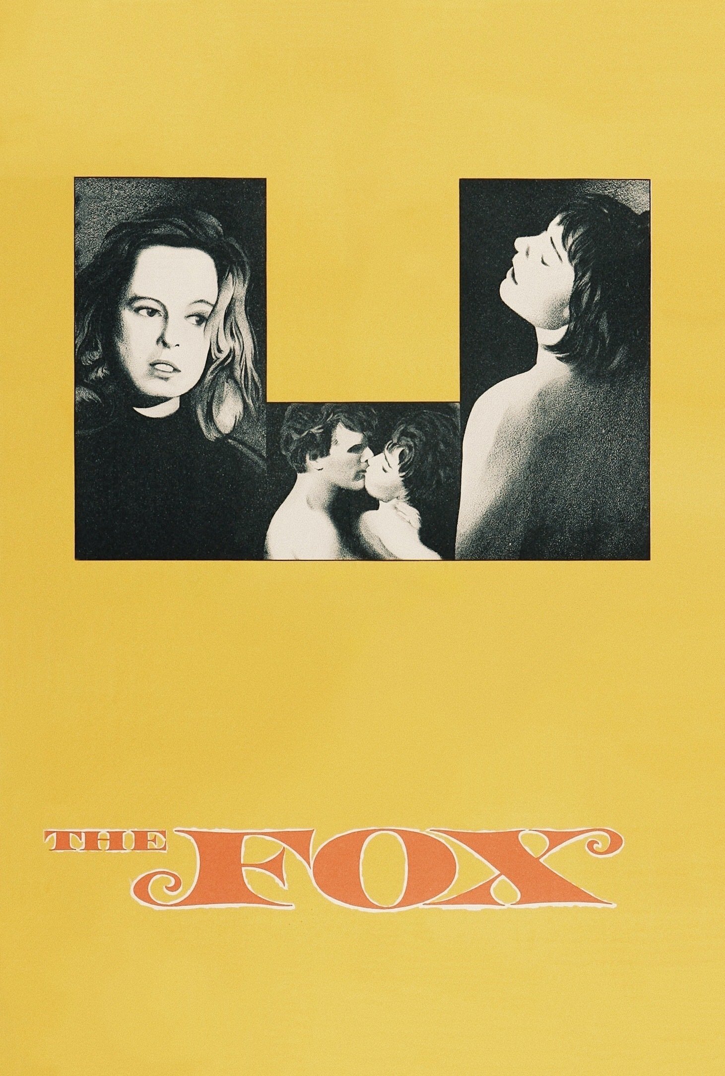 The Fox