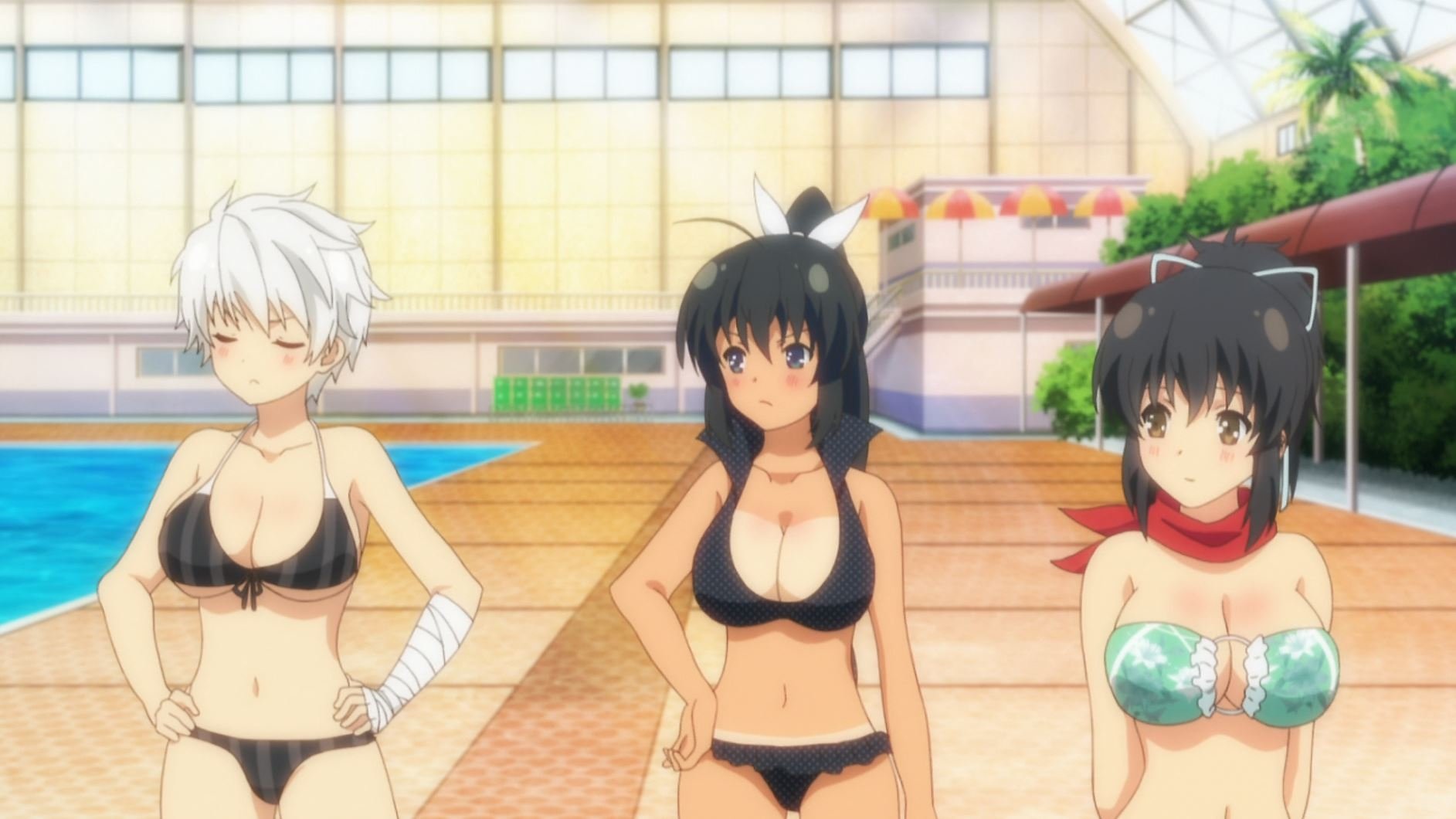 Senran Kagura: Ninja Flash