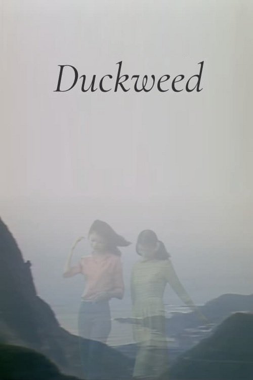 Duckweed