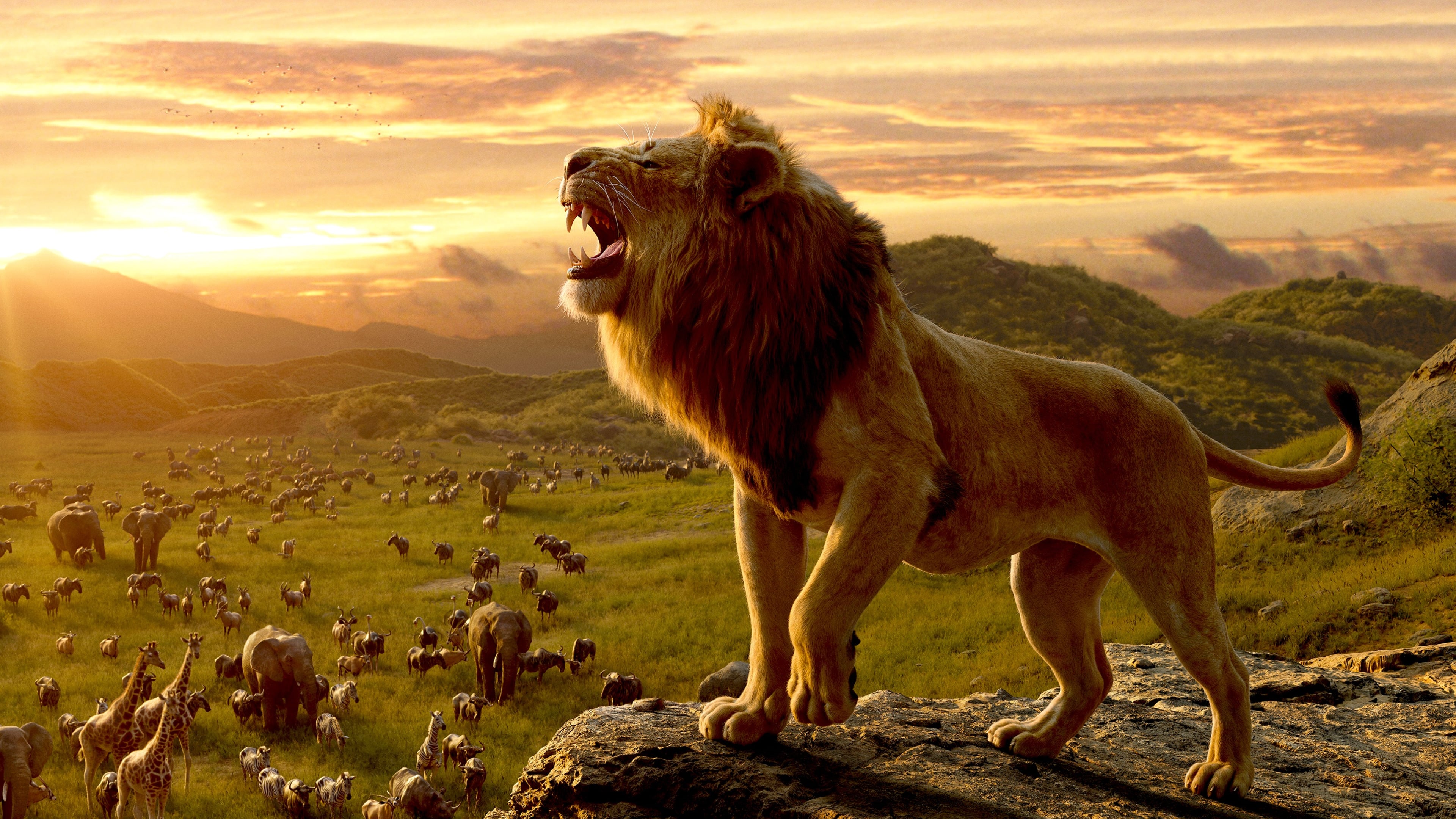 The Lion King – Vua Sư Tử (2019)