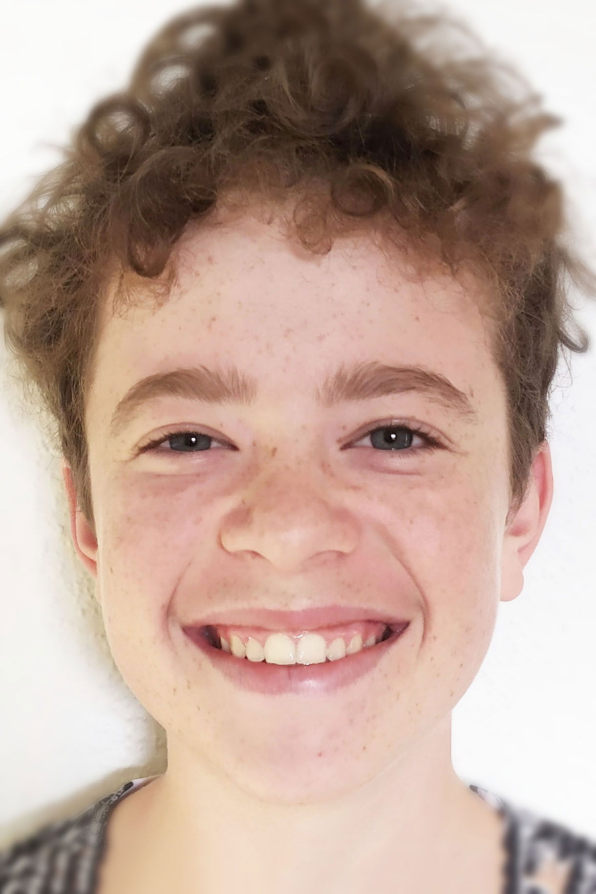 et billede af Jan Antonín Verner