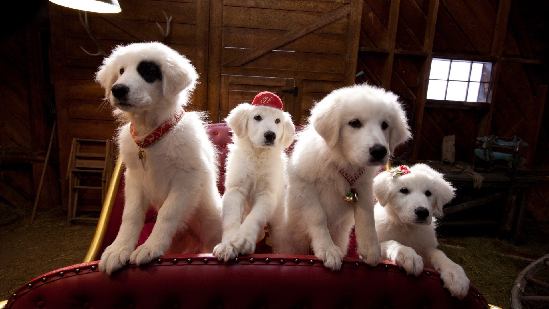 Santa Paws 2: The Santa Pups (2012)