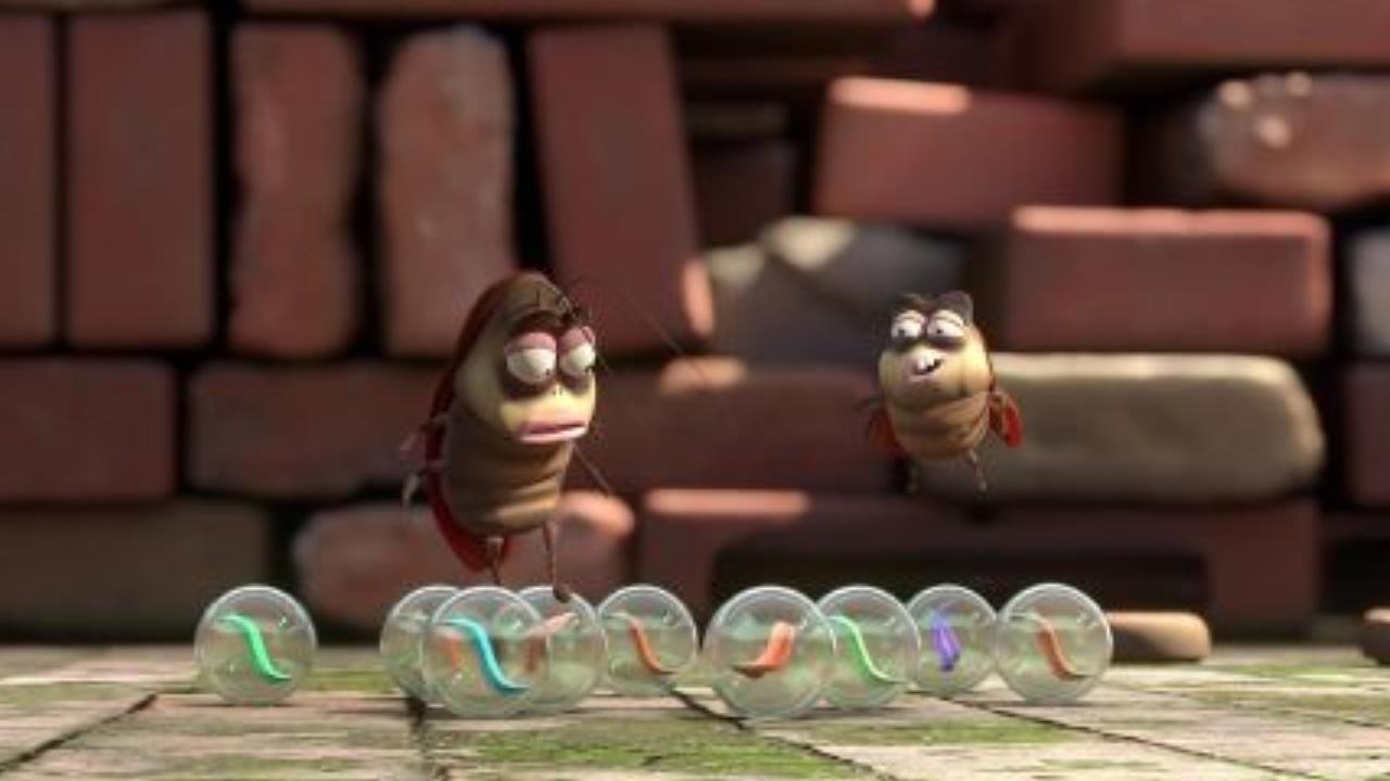 Larva