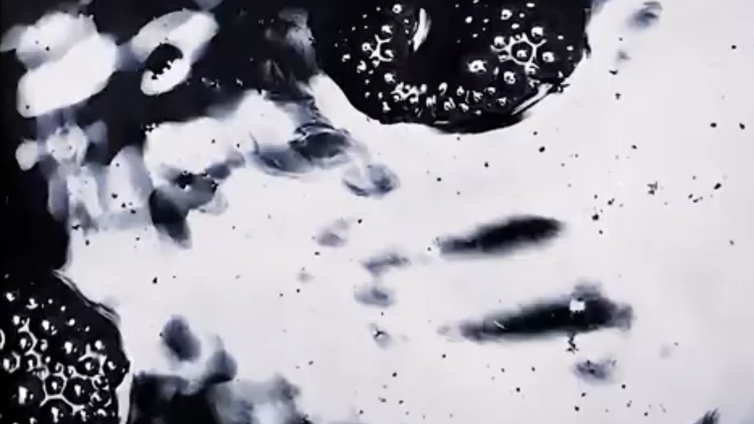Fluids (2022)