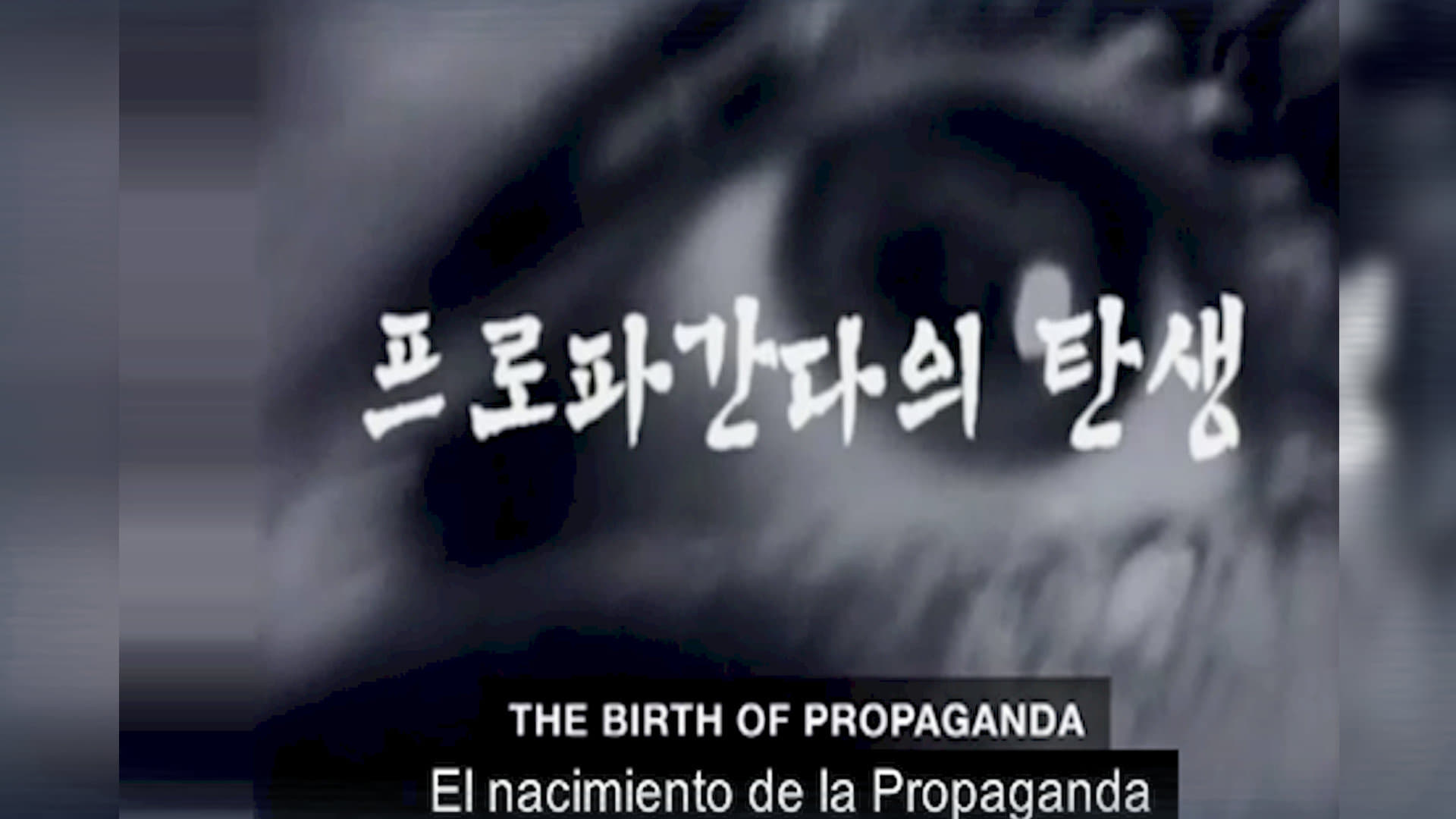 Propaganda (2013)