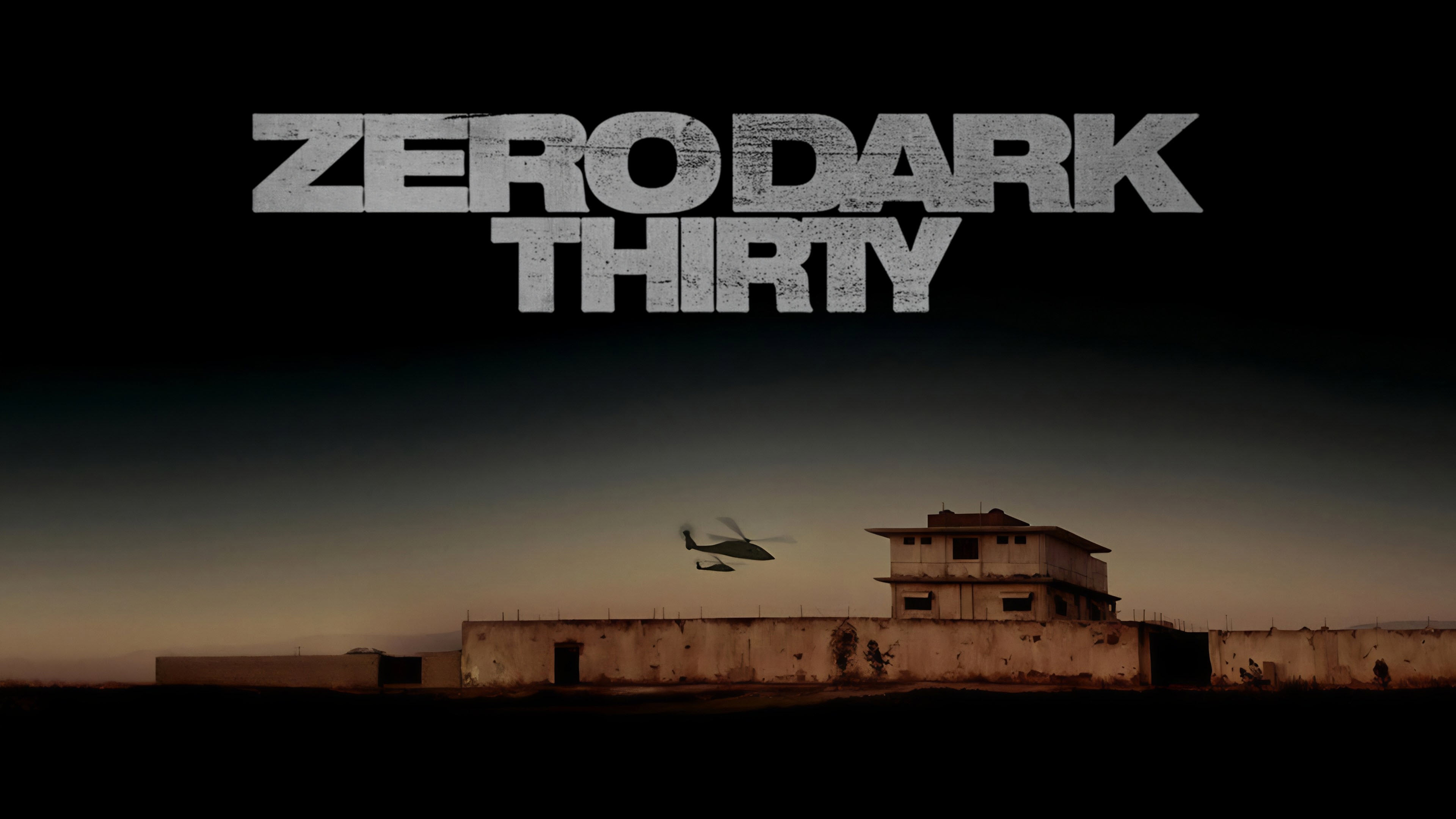 Zero Dark Thirty