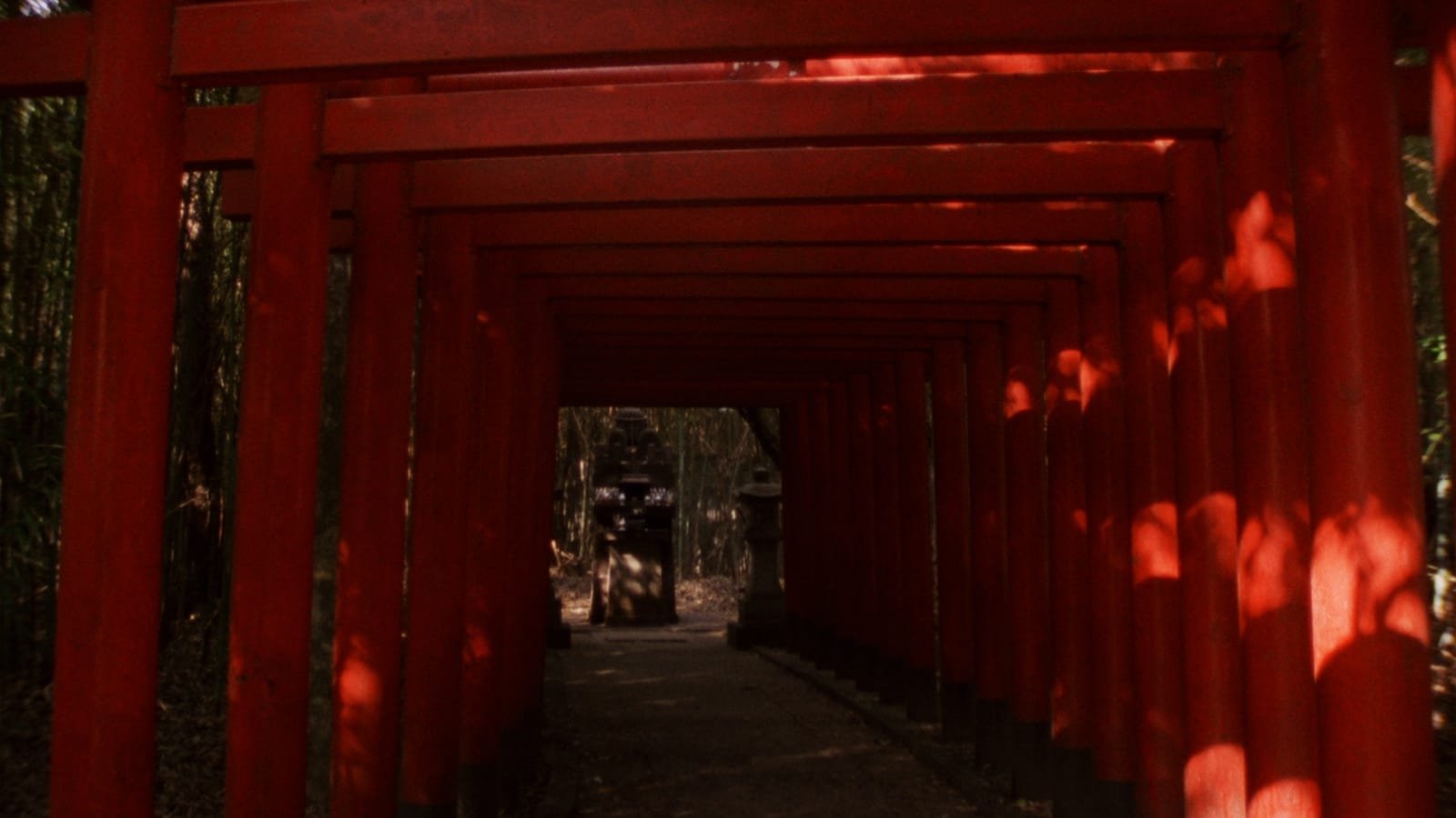 The Inland Sea (1991)