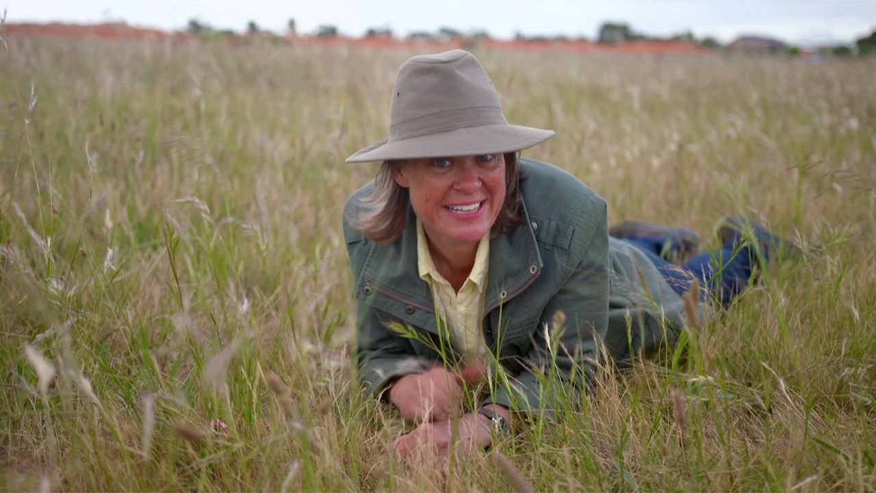 Gardening Australia