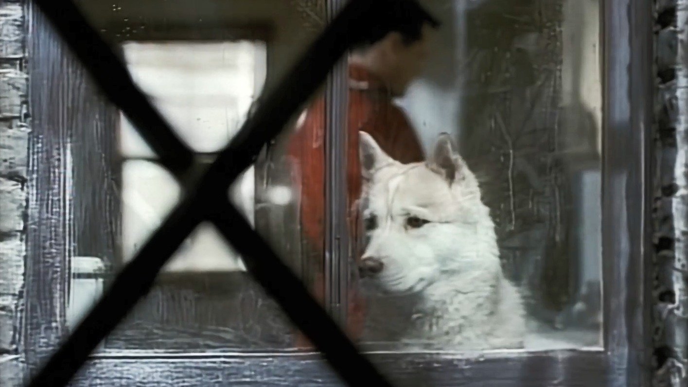 Due South