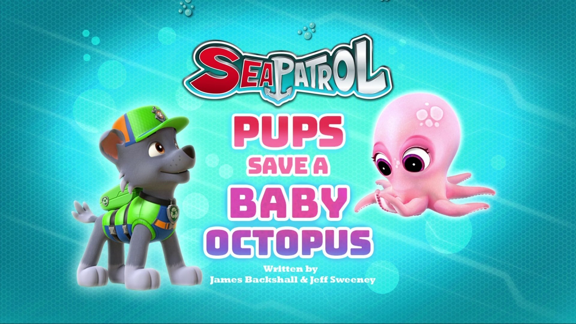 Episode 17 - Sea Patrol: I cuccioli salvano un cucciolo di polpo