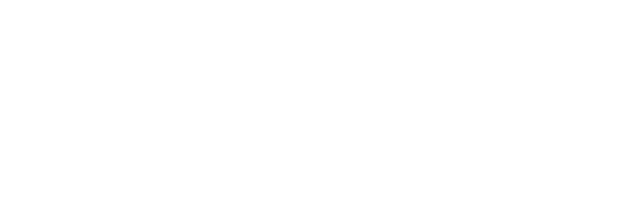 Wide Open Sky Logo