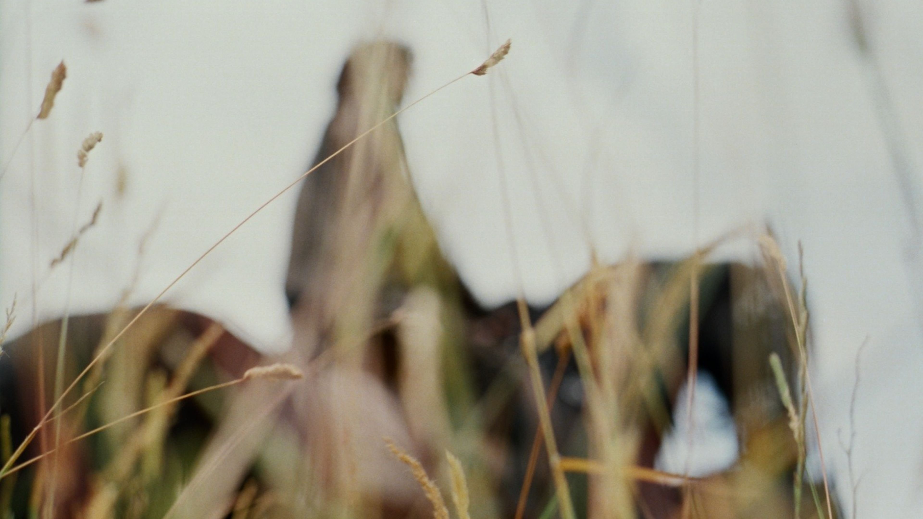 Merlin - Season 5 Episode 1